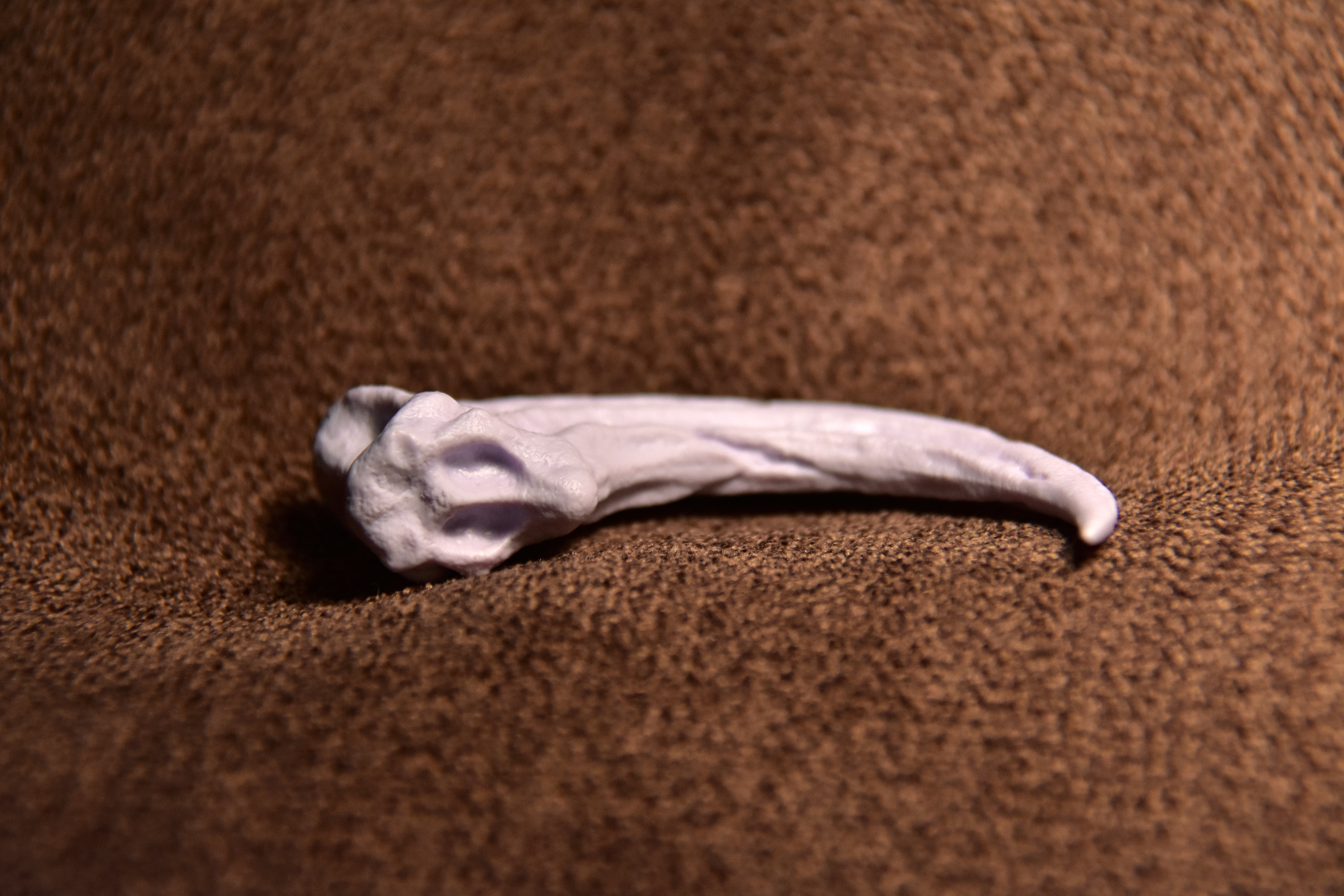 DINO10004 Коготь раптора