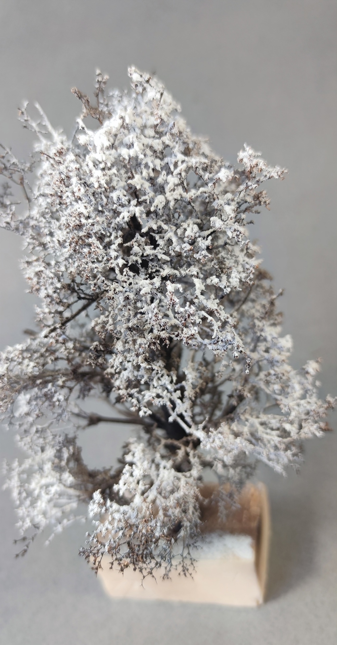 НЕ-35063 Дерево зима