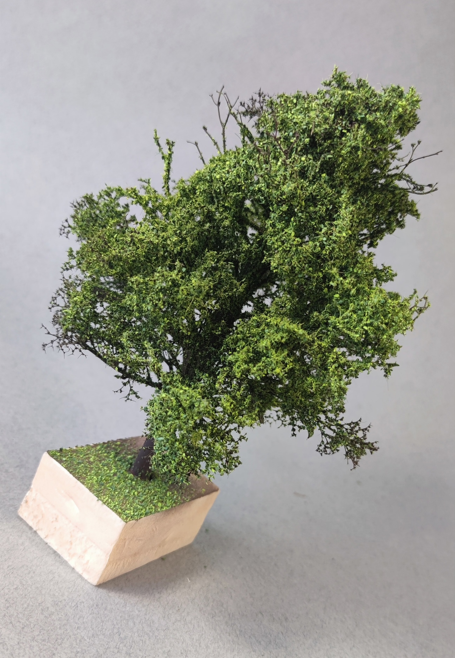 НЕ-35072 Дерево лето