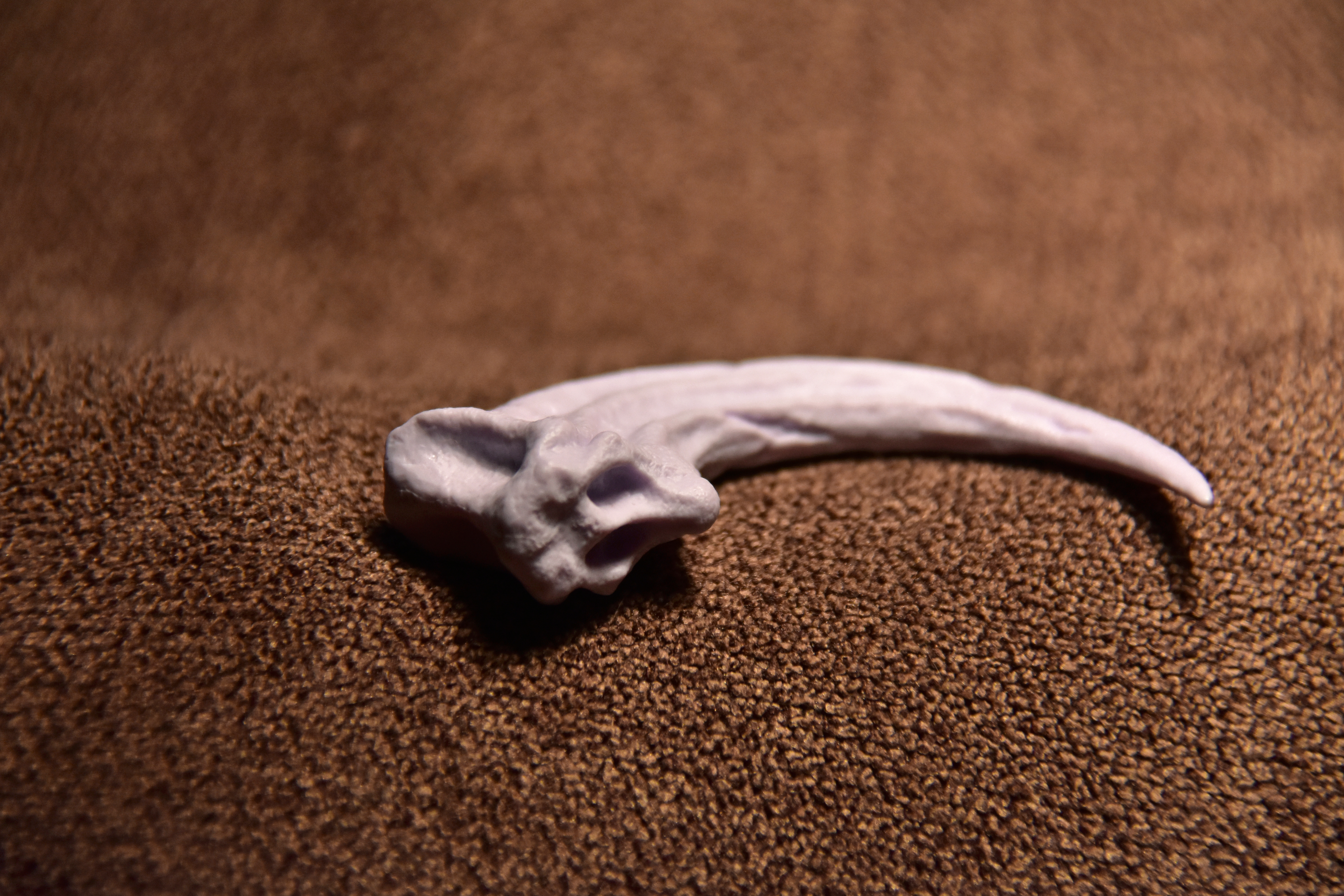 DINO10004 Коготь раптора