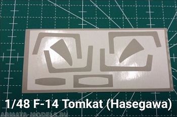 URM481 F-14 Tomcat (1/48, Hasegawa)