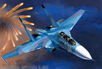 01645 Самолет  Су-27УБ 