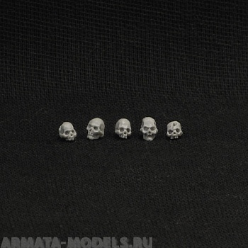 Skulls (5 pcs)