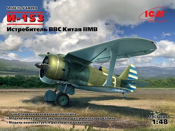 48099 И-153, Истребитель ВВС Китая ІІ МВ